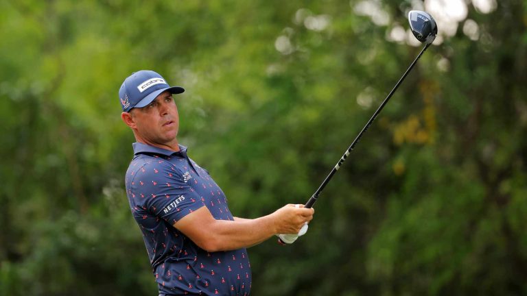 Behind Gary Woodland's unique Cobra driver build