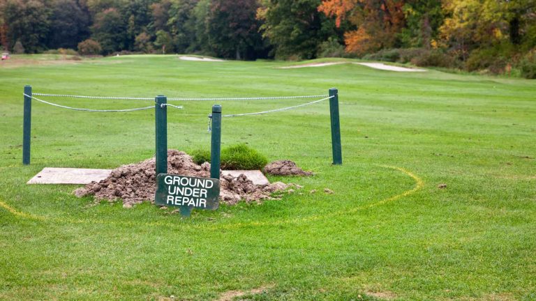 How the handicap system stays steady when conditions aren't.